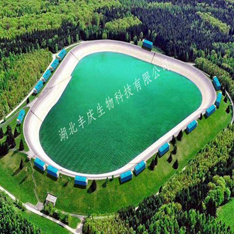 工廠化的水產養殖是什么？